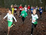 2019-01-06 ARWB Cross Oudenbosch